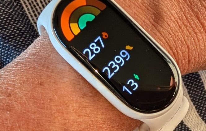 Janina Modica Leak‑News