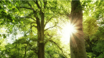 Wie Schwebstofffilter die Reinheit in pharmazeutischen Prozessen gewährleisten